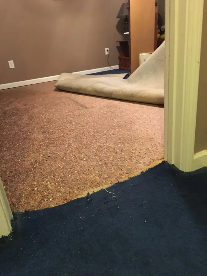 Carpet pad removal revealing water damage during Drying & Dehumidification in Perry Hall